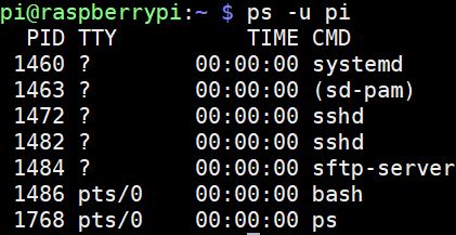 ps raspberry pi commands