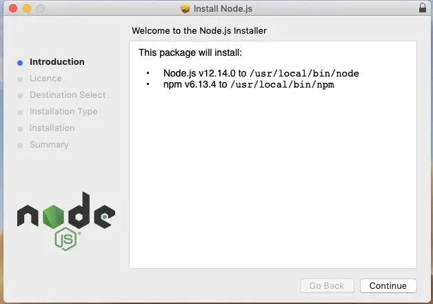 install node